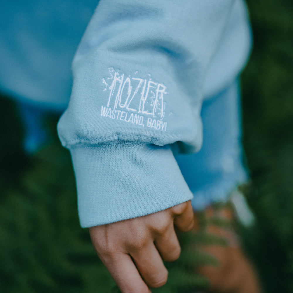 Hozier - There's No Plan Stone Blue Hoodie